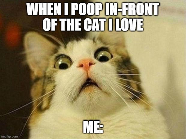 Scared Cat | WHEN I POOP IN-FRONT OF THE CAT I LOVE; ME: | image tagged in memes,scared cat | made w/ Imgflip meme maker