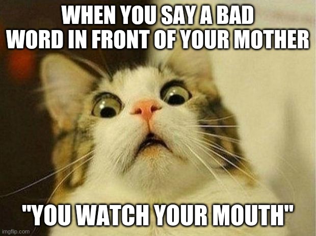 Scared Cat | WHEN YOU SAY A BAD WORD IN FRONT OF YOUR MOTHER; "YOU WATCH YOUR MOUTH" | image tagged in memes,scared cat | made w/ Imgflip meme maker