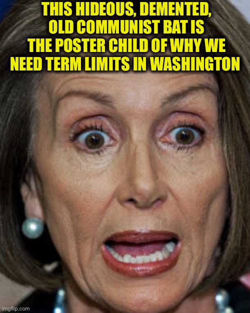 Yep | THIS HIDEOUS, DEMENTED, OLD COMMUNIST BAT IS THE POSTER CHILD OF WHY WE NEED TERM LIMITS IN WASHINGTON | image tagged in nancy pelosi,democrat | made w/ Imgflip meme maker
