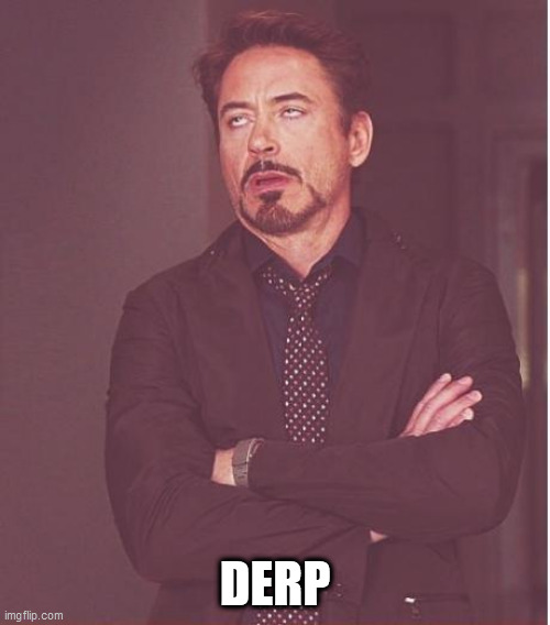 Face You Make Robert Downey Jr | DERP | image tagged in memes,face you make robert downey jr | made w/ Imgflip meme maker