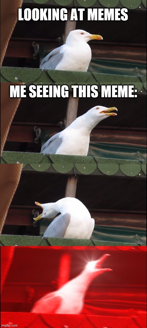 Inhaling Seagull Meme | LOOKING AT MEMES ME SEEING THIS MEME: | image tagged in memes,inhaling seagull | made w/ Imgflip meme maker