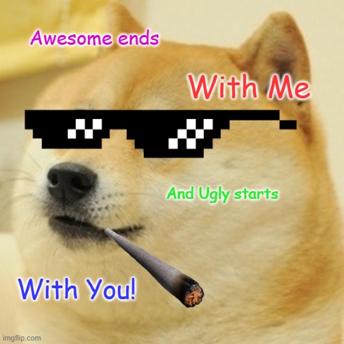 Salty Doge | Awesome ends; With Me; And Ugly starts; With You! | image tagged in memes,doge | made w/ Imgflip meme maker