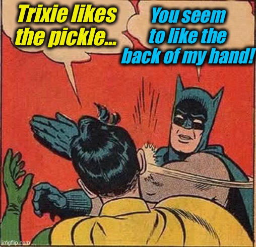 Batman Slapping Robin Meme | Trixie likes the pickle... You seem to like the back of my hand! | image tagged in memes,batman slapping robin | made w/ Imgflip meme maker