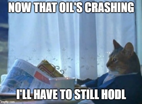 Oil Crashing |  NOW THAT OIL'S CRASHING; I'LL HAVE TO STILL HODL | image tagged in memes,hodl | made w/ Imgflip meme maker