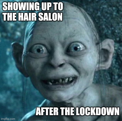 Gollum | SHOWING UP TO THE HAIR SALON; AFTER THE LOCKDOWN | image tagged in memes,gollum | made w/ Imgflip meme maker