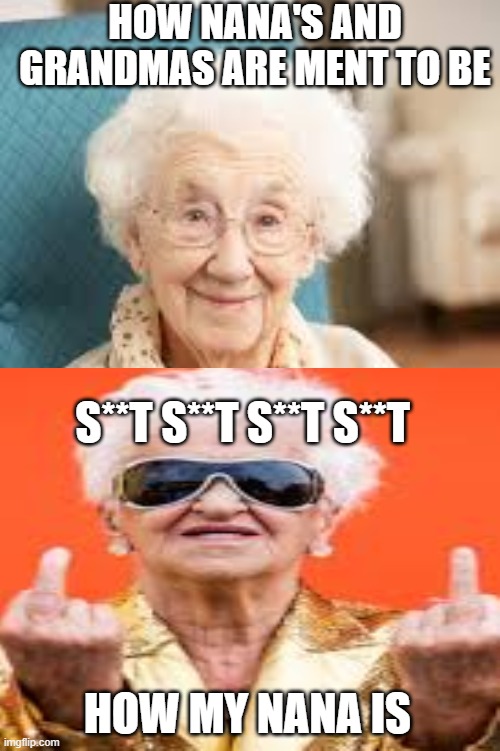 HOW NANA'S AND GRANDMAS ARE MENT TO BE; S**T S**T S**T S**T; HOW MY NANA IS | image tagged in real | made w/ Imgflip meme maker
