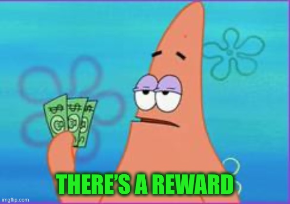 Patrick star three dollars | THERE’S A REWARD | image tagged in patrick star three dollars | made w/ Imgflip meme maker