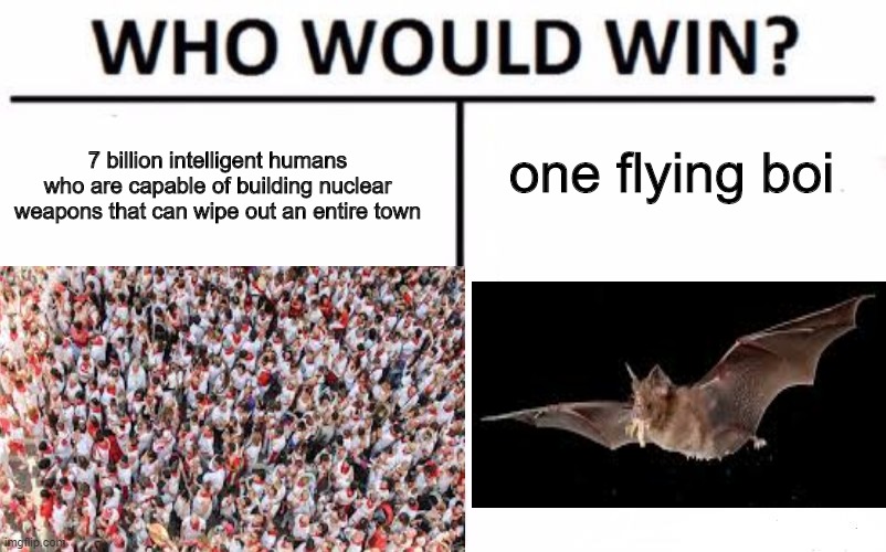 cough cough | one flying boi; 7 billion intelligent humans who are capable of building nuclear weapons that can wipe out an entire town | image tagged in coronavirus | made w/ Imgflip meme maker