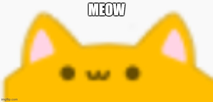 MEOW | made w/ Imgflip meme maker