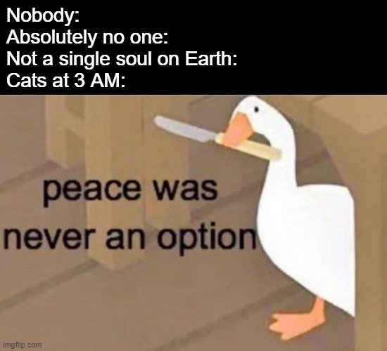Peace was never an option | Nobody:
Absolutely no one:
Not a single soul on Earth:
Cats at 3 AM: | image tagged in peace was never an option | made w/ Imgflip meme maker