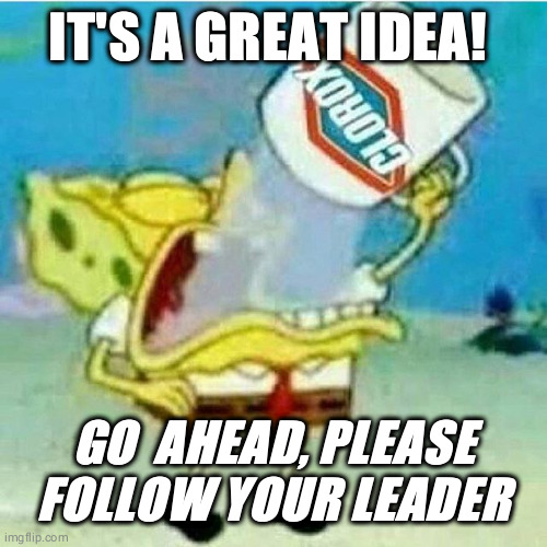 Clorox | IT'S A GREAT IDEA! GO  AHEAD, PLEASE FOLLOW YOUR LEADER | image tagged in clorox | made w/ Imgflip meme maker