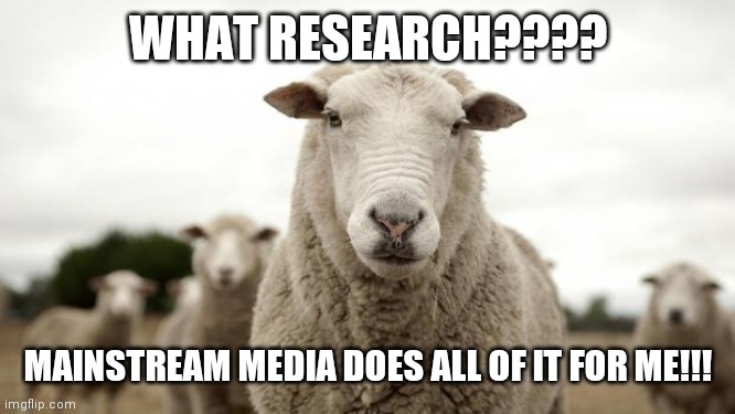 Sheep |  WHAT RESEARCH???? MAINSTREAM MEDIA DOES ALL OF IT FOR ME!!! | image tagged in sheep | made w/ Imgflip meme maker