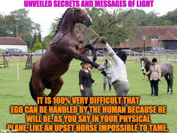 ego | UNVEILED SECRETS AND MESSAGES OF LIGHT; IT IS 100% VERY DIFFICULT THAT EGO CAN BE HANDLED BY THE HUMAN BECAUSE HE WILL BE, AS YOU SAY IN YOUR PHYSICAL PLANE, LIKE AN UPSET HORSE IMPOSSIBLE TO TAME. | image tagged in ego | made w/ Imgflip meme maker