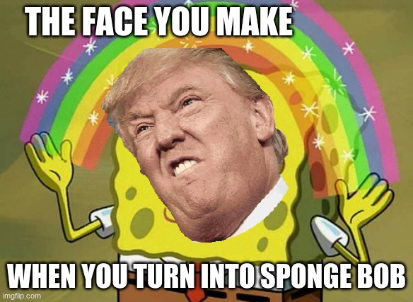 Imagination Spongebob Meme | THE FACE YOU MAKE; WHEN YOU TURN INTO SPONGE BOB | image tagged in memes,imagination spongebob | made w/ Imgflip meme maker