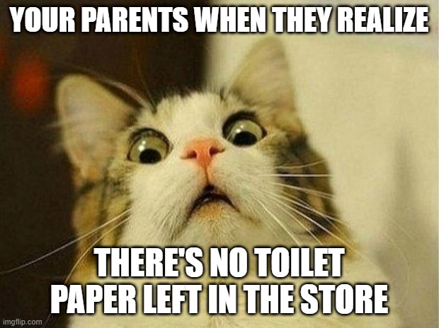 Cat | YOUR PARENTS WHEN THEY REALIZE; THERE'S NO TOILET PAPER LEFT IN THE STORE | image tagged in memes,scared cat | made w/ Imgflip meme maker