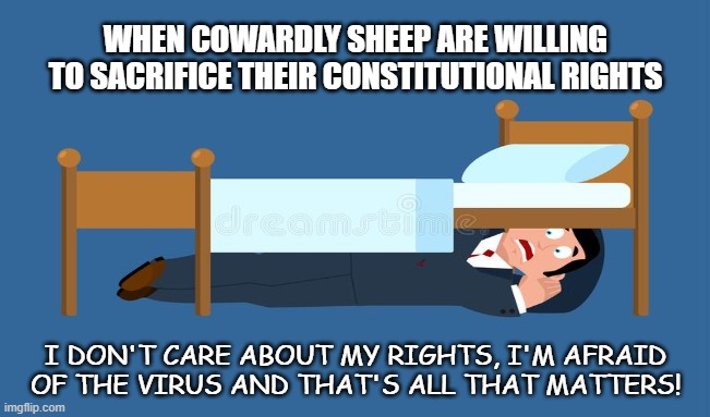 Coward-19 | WHEN COWARDLY SHEEP ARE WILLING TO SACRIFICE THEIR CONSTITUTIONAL RIGHTS; I DON'T CARE ABOUT MY RIGHTS, I'M AFRAID OF THE VIRUS AND THAT'S ALL THAT MATTERS! | image tagged in coronavirus,covid-19,constitution,lockdown,fear,cowards | made w/ Imgflip meme maker