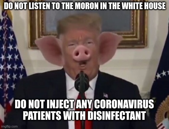 Disinfectant | DO NOT LISTEN TO THE MORON IN THE WHITE HOUSE; DO NOT INJECT ANY CORONAVIRUS PATIENTS WITH DISINFECTANT | image tagged in trump,gop,moron,disinfectant,idiots | made w/ Imgflip meme maker