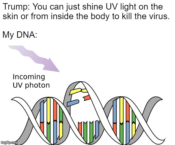 Trump UV Light | Trump: You can just shine UV light on the skin or from inside the body to kill the virus. My DNA: | image tagged in trump,coronavirus,covid-19,pandemic | made w/ Imgflip meme maker