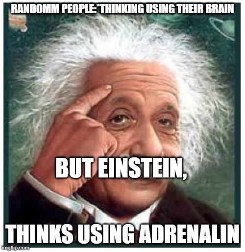 Albert Einstein points at head | RANDOMM PEOPLE:*THINKING USING THEIR BRAIN; BUT EINSTEIN, THINKS USING ADRENALIN | image tagged in albert einstein points at head | made w/ Imgflip meme maker