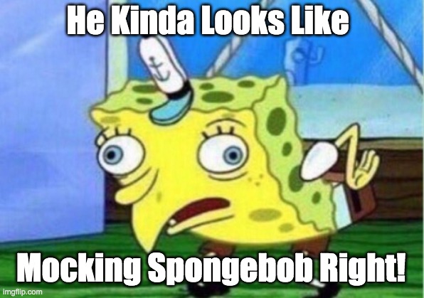 He Kinda Looks Like Mocking Spongebob Right! | image tagged in memes,mocking spongebob | made w/ Imgflip meme maker