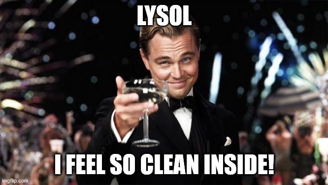 Gatsby toast  | LYSOL; I FEEL SO CLEAN INSIDE! | image tagged in gatsby toast | made w/ Imgflip meme maker