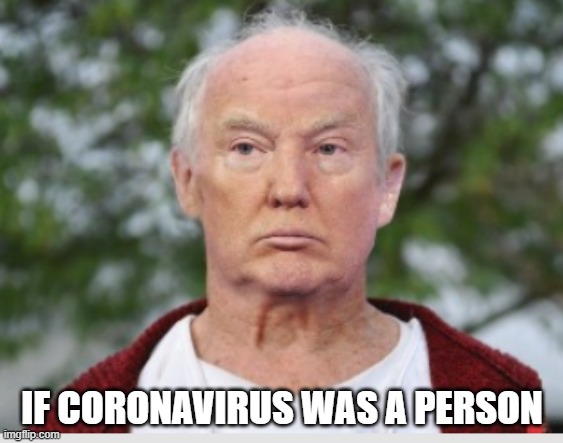 trump | IF CORONAVIRUS WAS A PERSON | image tagged in trump | made w/ Imgflip meme maker