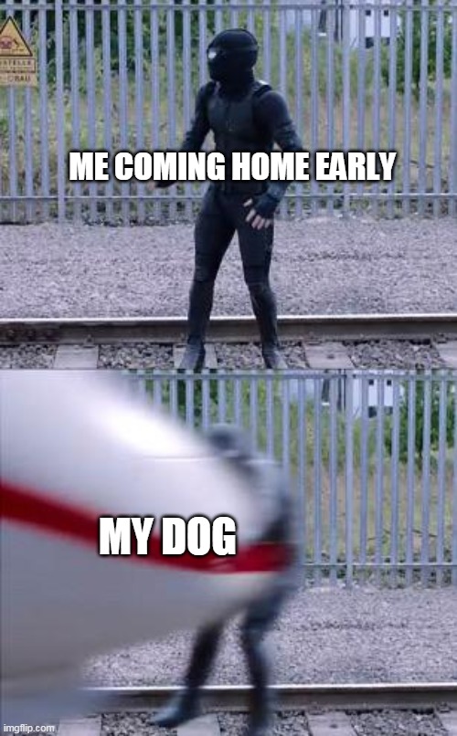 spiderman train | ME COMING HOME EARLY; MY DOG | image tagged in spiderman train | made w/ Imgflip meme maker