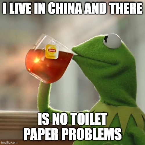 But That's None Of My Business | I LIVE IN CHINA AND THERE; IS NO TOILET PAPER PROBLEMS | image tagged in memes,but that's none of my business,kermit the frog | made w/ Imgflip meme maker