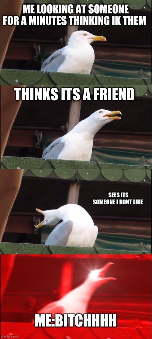 Inhaling Seagull | ME LOOKING AT SOMEONE FOR A MINUTES THINKING IK THEM; THINKS ITS A FRIEND; SEES ITS SOMEONE I DONT LIKE; ME:BITCHHHH | image tagged in memes,inhaling seagull | made w/ Imgflip meme maker