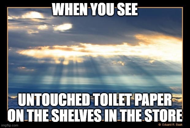 Heavenly  | WHEN YOU SEE; UNTOUCHED TOILET PAPER ON THE SHELVES IN THE STORE | image tagged in heavenly | made w/ Imgflip meme maker