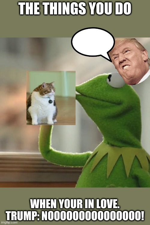 But That's None Of My Business | THE THINGS YOU DO; WHEN YOUR IN LOVE.
TRUMP: NOOOOOOOOOOOOOOO! | image tagged in memes,but that's none of my business,kermit the frog | made w/ Imgflip meme maker