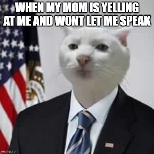 GovernmentBeuraCat | WHEN MY MOM IS YELLING AT ME AND WONT LET ME SPEAK | image tagged in governmentbeuracat | made w/ Imgflip meme maker