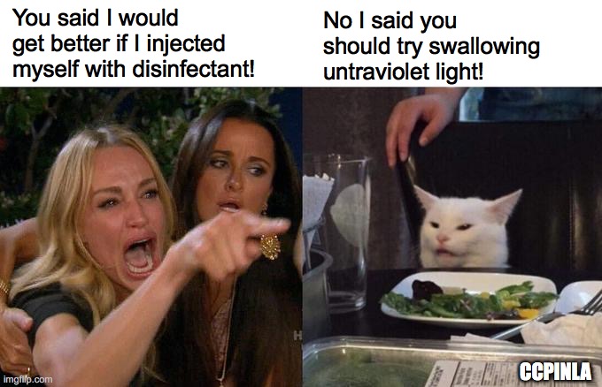 Disinfectant and Ultraviolet Light Will Cure You! | You said I would get better if I injected myself with disinfectant! No I said you should try swallowing untraviolet light! CCPINLA | image tagged in woman yelling at cat,covid-19,coronavirus,donald trump,covid19 | made w/ Imgflip meme maker
