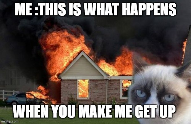 Burn Kitty Meme | ME :THIS IS WHAT HAPPENS; WHEN YOU MAKE ME GET UP | image tagged in memes,burn kitty,grumpy cat | made w/ Imgflip meme maker