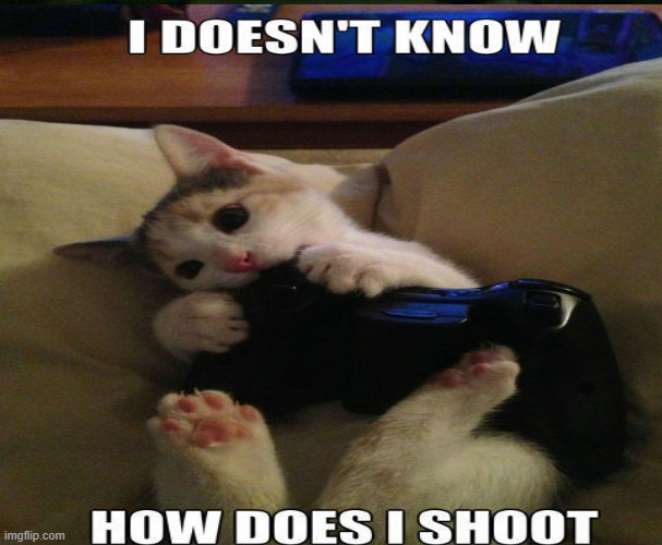 Video games CAT | image tagged in confused cat | made w/ Imgflip meme maker