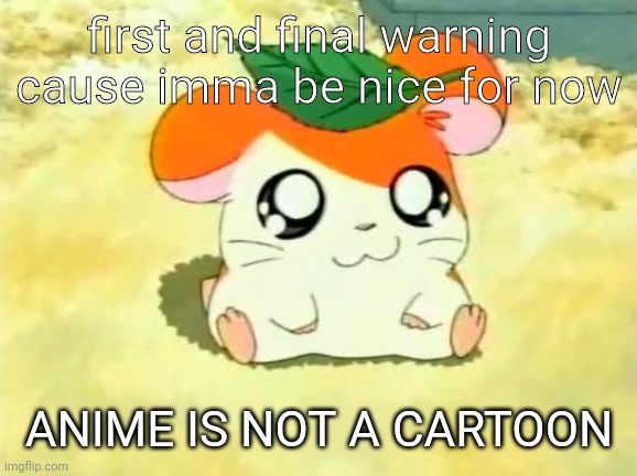 Hamtaro Meme | first and final warning cause imma be nice for now ANIME IS NOT A CARTOON | image tagged in memes,hamtaro | made w/ Imgflip meme maker