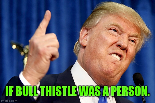 Donald Trump | IF BULL THISTLE WAS A PERSON. | image tagged in donald trump,plants | made w/ Imgflip meme maker