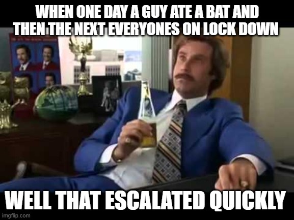 Well That Escalated Quickly | WHEN ONE DAY A GUY ATE A BAT AND THEN THE NEXT EVERYONES ON LOCK DOWN; WELL THAT ESCALATED QUICKLY | image tagged in memes,well that escalated quickly | made w/ Imgflip meme maker