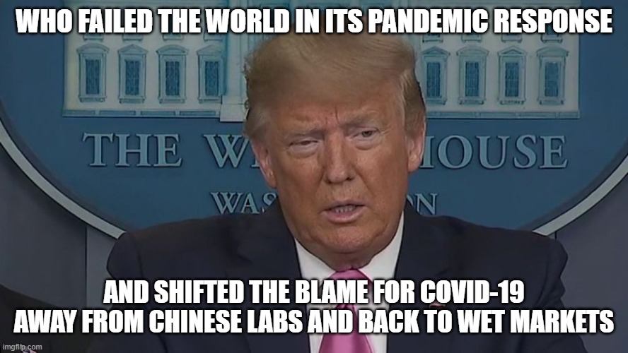 The WHO Has Failed The World | WHO FAILED THE WORLD IN ITS PANDEMIC RESPONSE; AND SHIFTED THE BLAME FOR COVID-19 AWAY FROM CHINESE LABS AND BACK TO WET MARKETS | image tagged in if only you knew how bad things really are | made w/ Imgflip meme maker