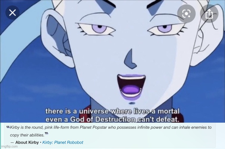 That Is Damn Right, Whis! | image tagged in whis explains universe 11,dragon ball super,whis,kirby,infinite,memes | made w/ Imgflip meme maker