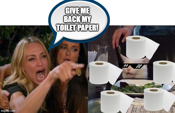 Woman Yelling At Cat Meme | GIVE ME BACK MY TOILET PAPER! | image tagged in memes,woman yelling at cat | made w/ Imgflip meme maker