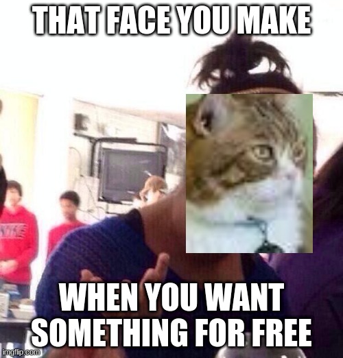 Black Girl Wat Meme | THAT FACE YOU MAKE; WHEN YOU WANT SOMETHING FOR FREE | image tagged in memes,black girl wat | made w/ Imgflip meme maker