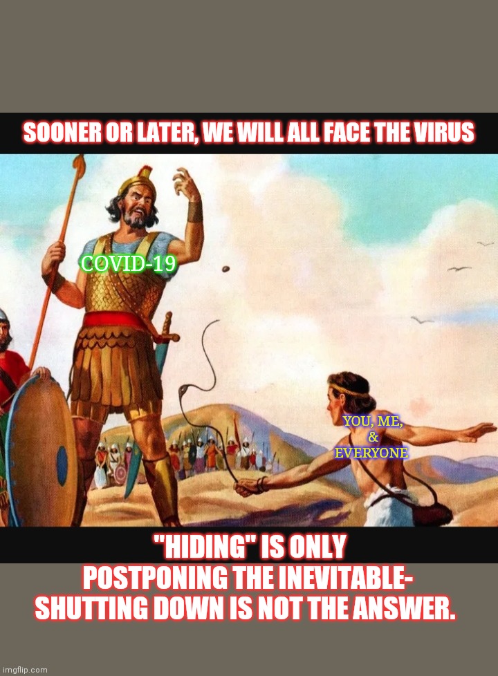 JUST ASK THE SWEDES- | SOONER OR LATER, WE WILL ALL FACE THE VIRUS; COVID-19; YOU, ME, & EVERYONE; "HIDING" IS ONLY POSTPONING THE INEVITABLE- SHUTTING DOWN IS NOT THE ANSWER. | image tagged in coronavirus,political revolution | made w/ Imgflip meme maker