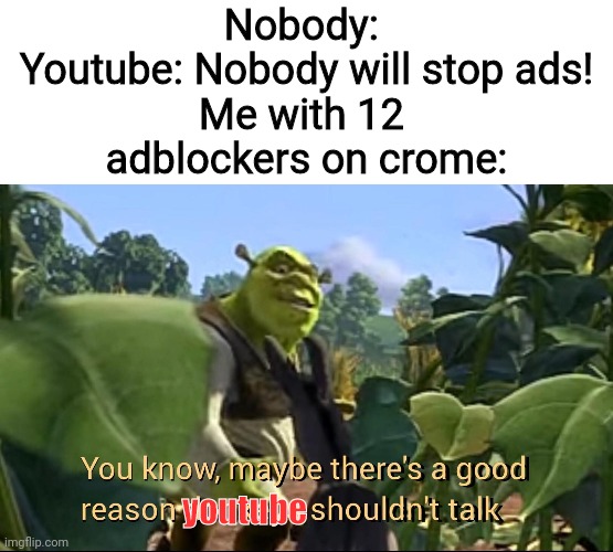 Ads on youtube dont stand a chance | Nobody: 
Youtube: Nobody will stop ads!
Me with 12 
adblockers on crome:; youtube | image tagged in maybe there's a good reason donkeys shouldn't talk,youtube,adblock | made w/ Imgflip meme maker