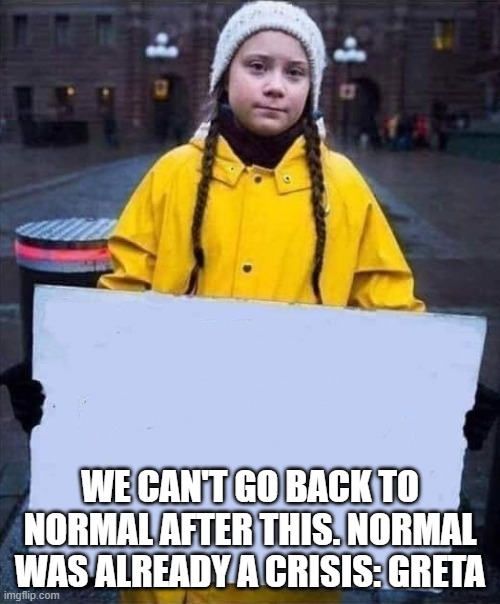 Greta Normal | WE CAN'T GO BACK TO NORMAL AFTER THIS. NORMAL WAS ALREADY A CRISIS: GRETA | image tagged in greta | made w/ Imgflip meme maker