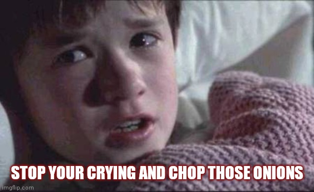 I See Dead People Meme | STOP YOUR CRYING AND CHOP THOSE ONIONS | image tagged in memes,i see dead people,crying,onions | made w/ Imgflip meme maker