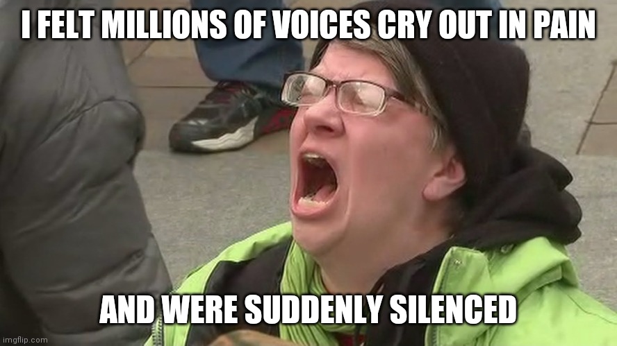 Love Thy Neighbor! | I FELT MILLIONS OF VOICES CRY OUT IN PAIN AND WERE SUDDENLY SILENCED | image tagged in love thy neighbor | made w/ Imgflip meme maker