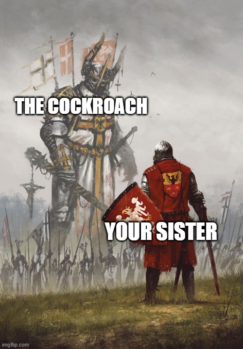 Big monster Small Dude meme | YOUR SISTER THE COCKROACH | image tagged in big monster small dude meme | made w/ Imgflip meme maker