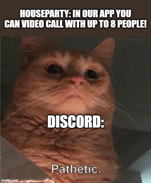 discord pathetic | HOUSEPARTY: IN OUR APP YOU CAN VIDEO CALL WITH UP TO 8 PEOPLE! DISCORD: | image tagged in pathetic cat | made w/ Imgflip meme maker