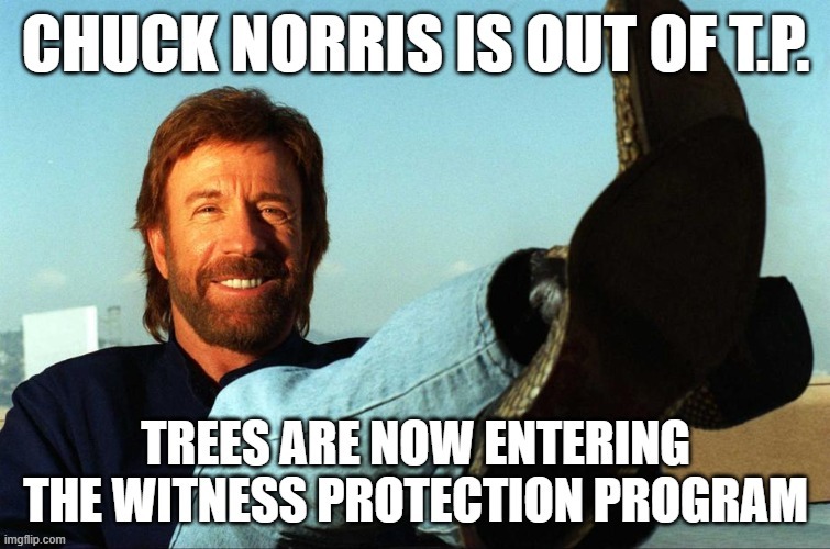 Not chuckin around | image tagged in chuck norris | made w/ Imgflip meme maker